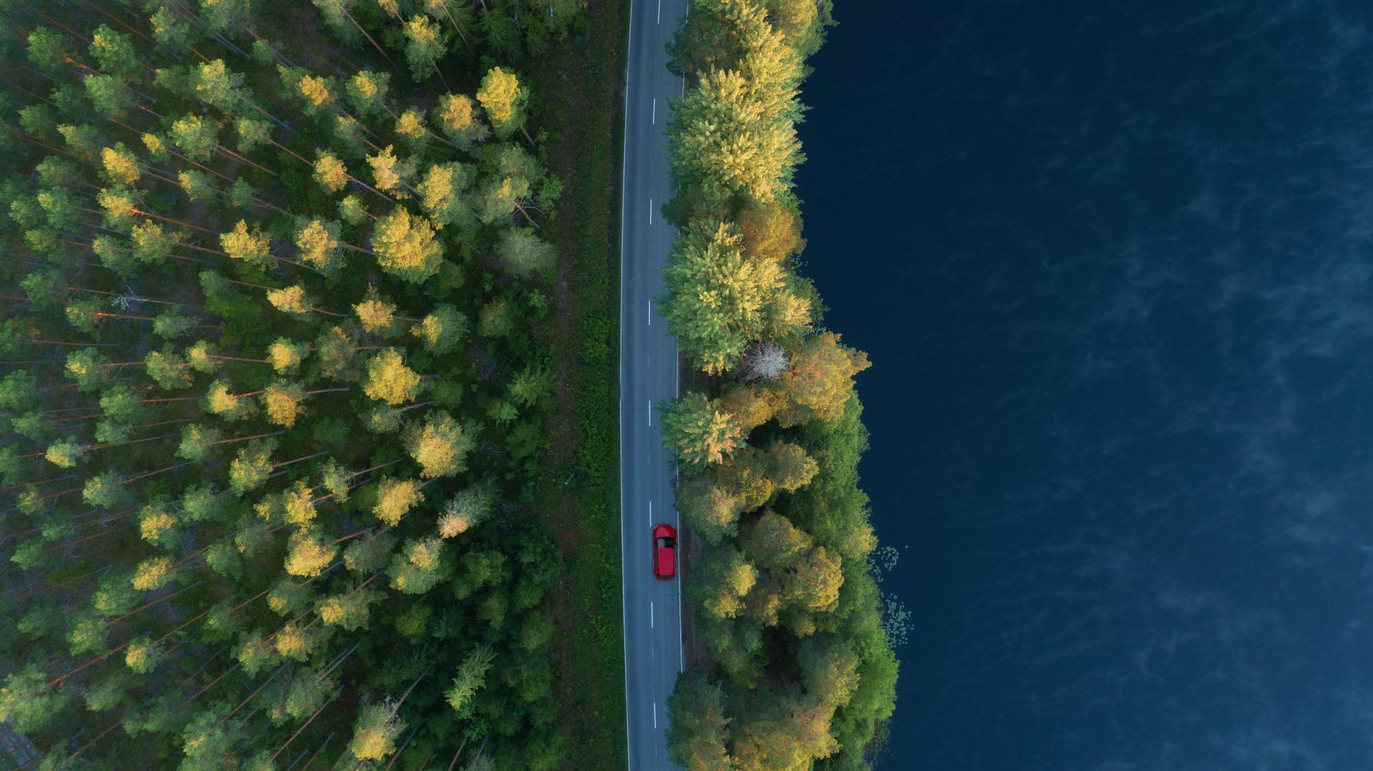 Aerial,View,Of,Lake,,Forest,And,Road,At,Misty,Morning.