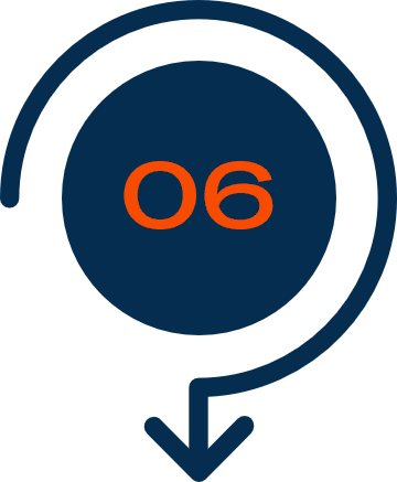 Icon 6